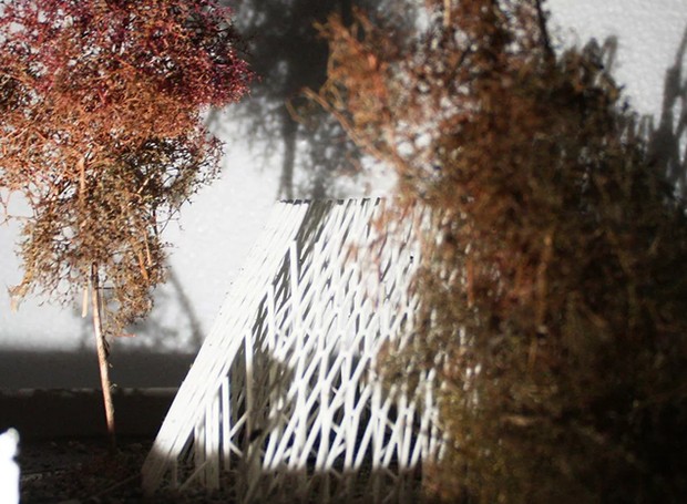 Quando instaladas no meio da floresta, as sombras imitam o formato de pinheiros e carvalhos (Foto: Instagram/ Reprodução)