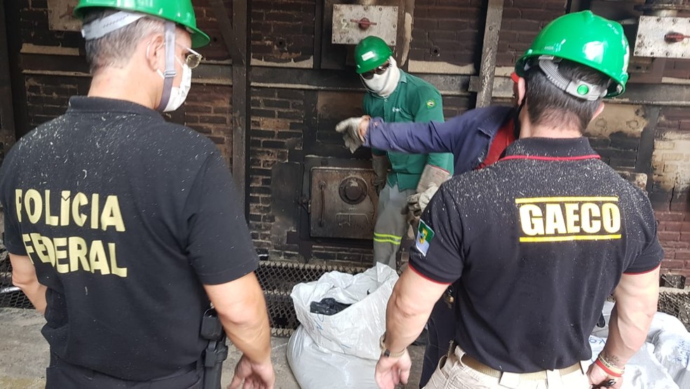 Polícia Federal incinera 687 kg de drogas no Rio Grande do Norte — Foto: Divulgação/PF