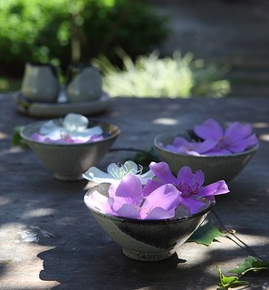 Em bowls ou pequenas tigelas, os arranjos com as flores do manacá-da-serra anão são uma ótima ideia para decorar centros de mesas por ter baixa estatura e não atrapalhar a conversa entre os convidados