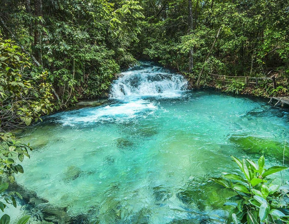 Jalapão tem cachoeiras com águas cristalinas — Foto: Lester Scalon/Avis Brasilis