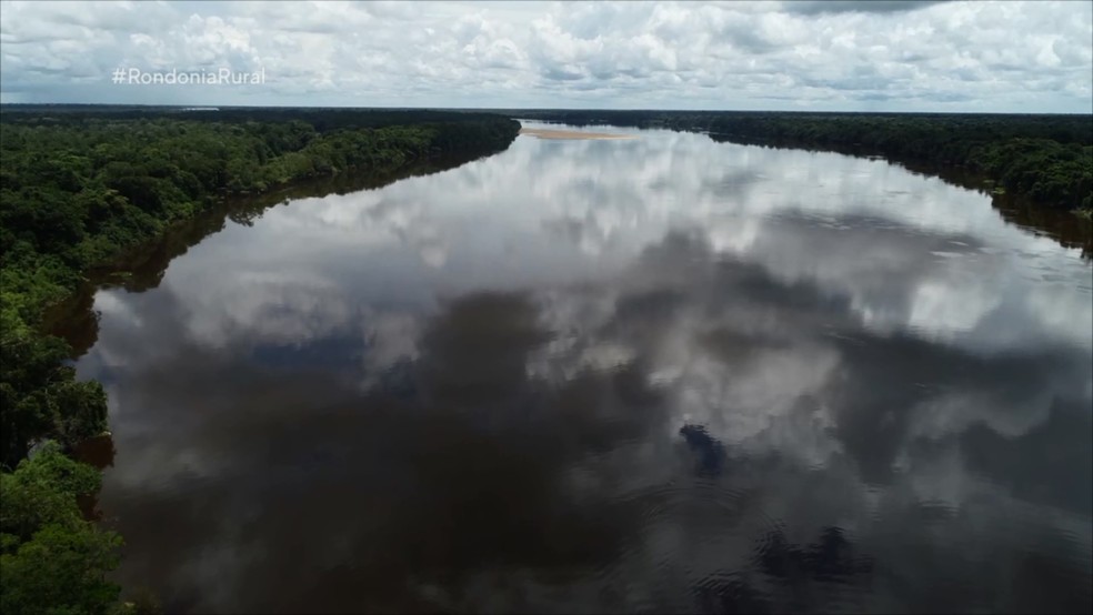 Rio Guaporé é habitat de tartarugas, em Rondônia — Foto: Rede Amazônica/Reprodução