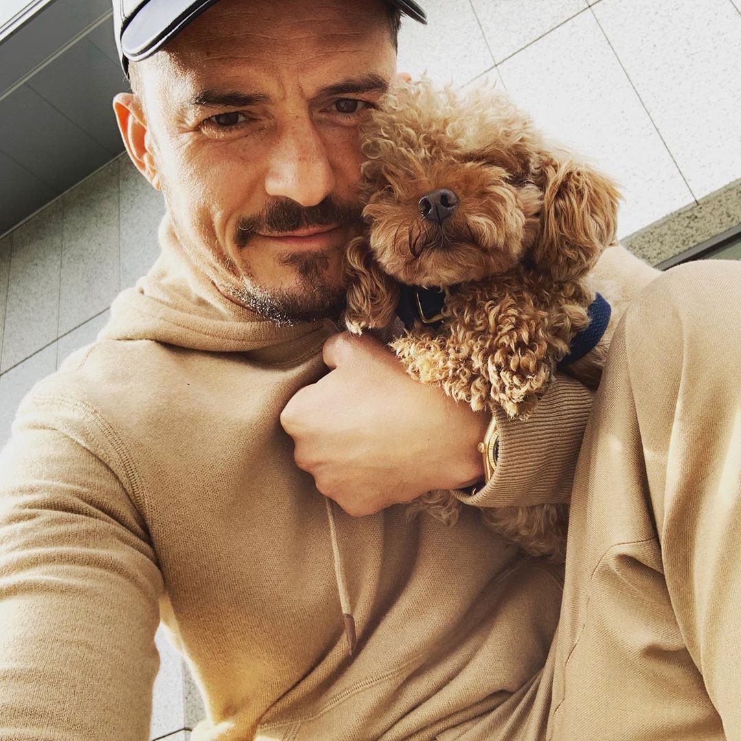 Orlando Bloom e seu cachorro (Foto: reprodução/instagram)