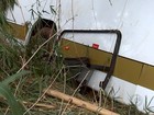 Ônibus cai em ribanceira e deixa feridos em Guapiaçu