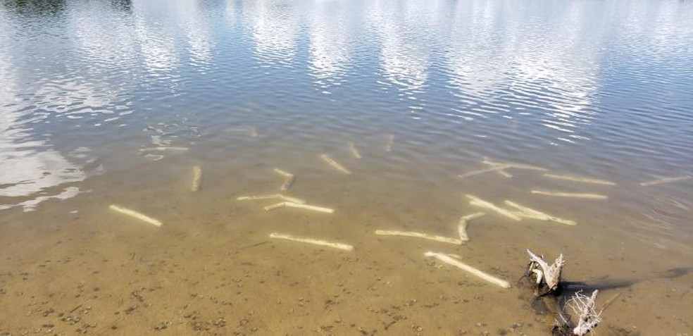 Dinamites foram encontradas às margens do rio — Foto: Divulgação