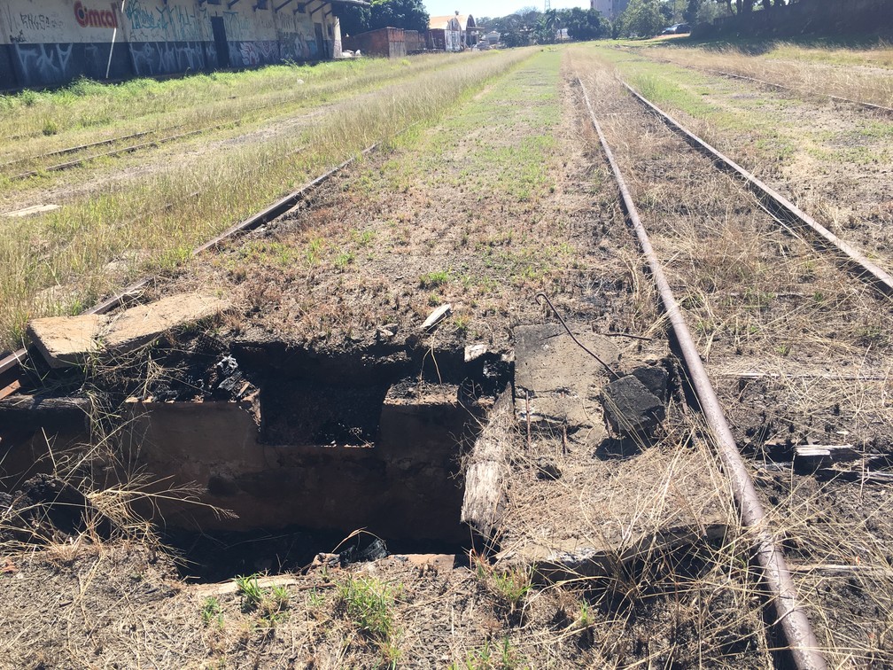 Ferrovia está abandonada na região de Presidente Prudente — Foto: Aline Costa/G1
