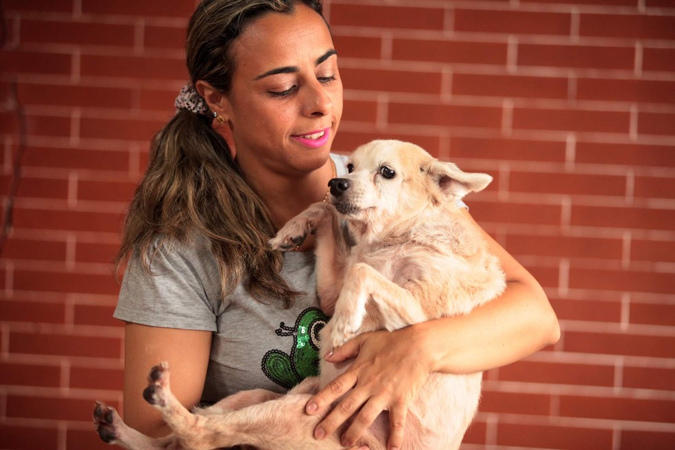 Adoção De Cães De Raça Rj 2015 Cachorro Ganha Primeiro Natal Em Familia Ao Ser Adotado Com 17