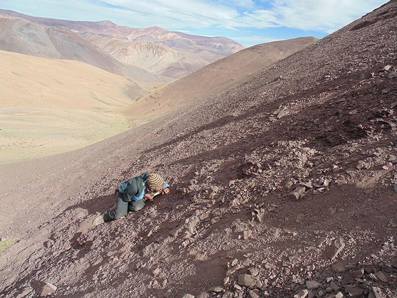 Cemitério de pterossauros fica em uma montanha íngreme cuja altitude ultrapassa os 4,3 mil metros (Foto: Universidade do Chile )