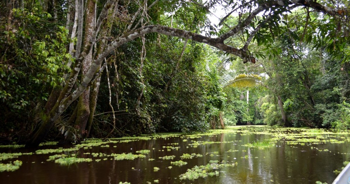 No Acre, clube se chama Ressaca, mas nome vem de fenômeno do rio