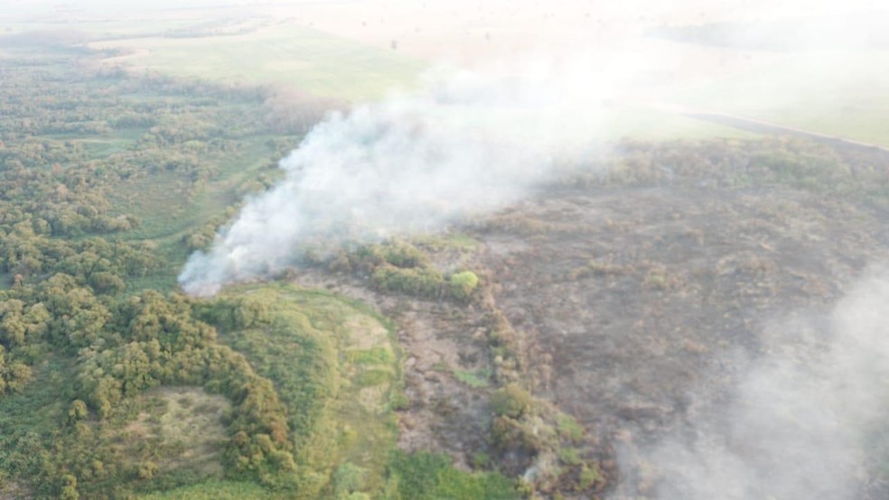 Áreas em chamas ficam entre Monte Castelo e São João do Pau D'Alho — Foto: Corpo de Bombeiros 