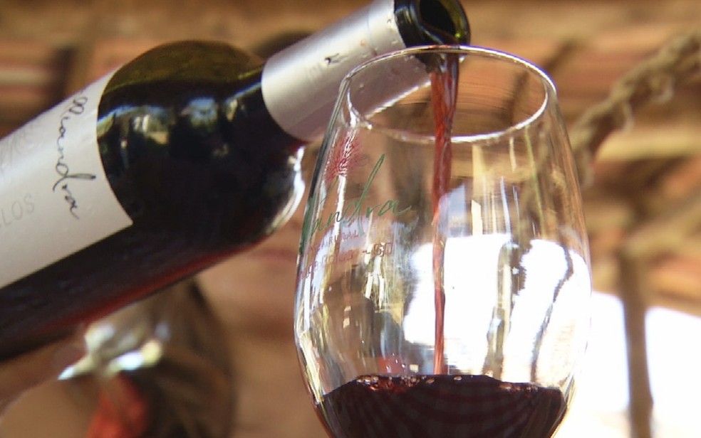 Vinho produzido na Rota dos Pirineus — Foto: Reprodução/TV Anhanguera