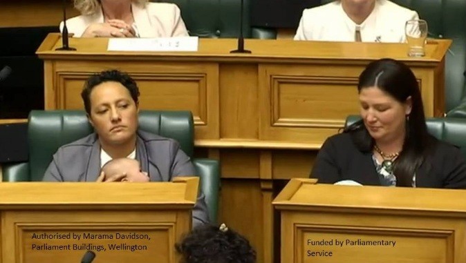 Deputadas amamentam durante sessão no Parlamento (Foto: Reprodução Facebook)