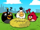 G1 - 'Angry Birds Stella' será lançado para smartphones em 4 de setembro -  notícias em Games