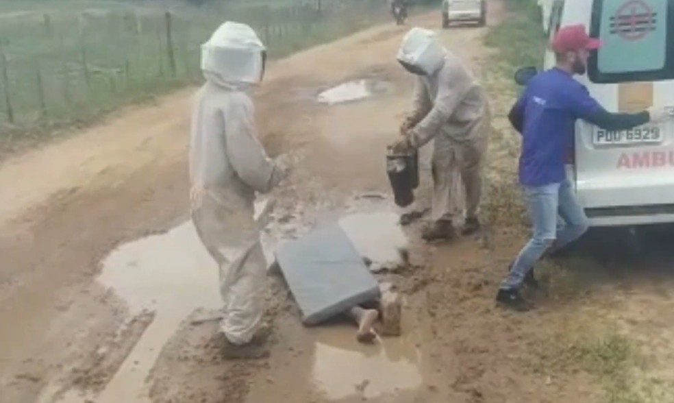 Dois idosos estão entre vítimas de ataque de abelhas em Alto Santo, no Ceará. — Foto: Reprodução