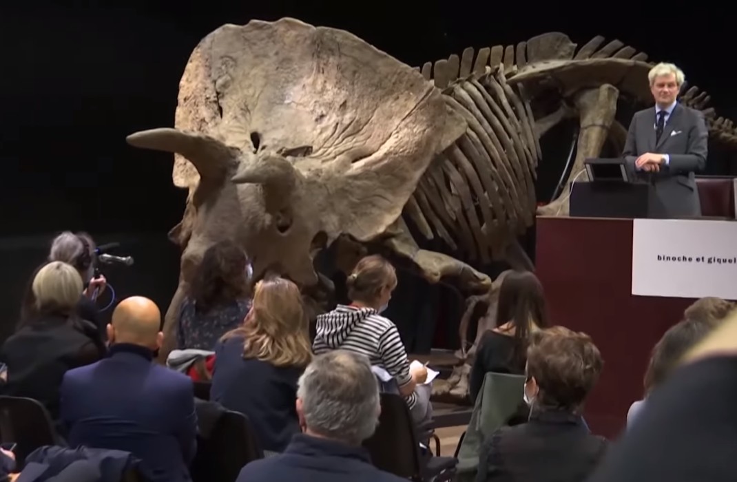 'Big John', maior dinossauro triceratops já descoberto, é leiloado por R$ 44 mi (Foto: Reprodução/YouTube)