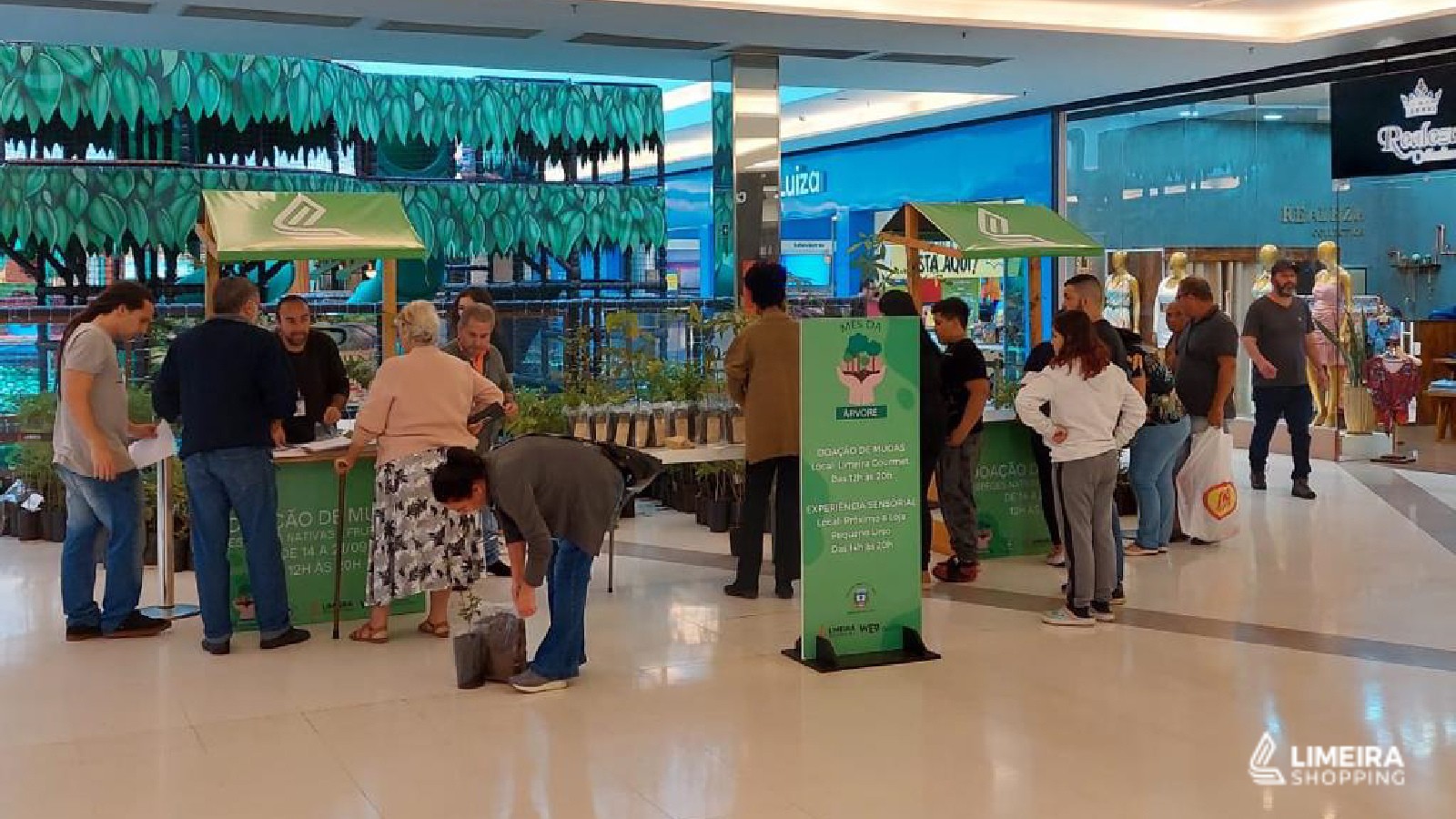 Mês da Árvore no Limeira Shopping doa 2,2 mil mudas ao público