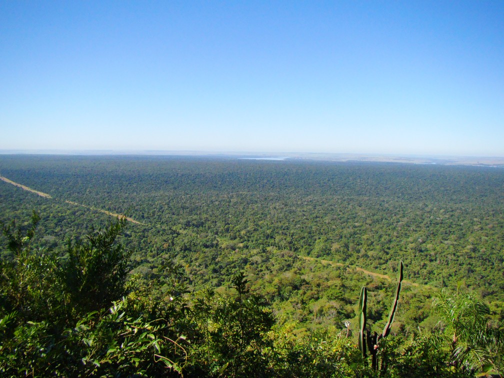 Parque Estadual do Morro do Diabo, em Teodoro Sampaio (SP) — Foto: Fundação Florestal