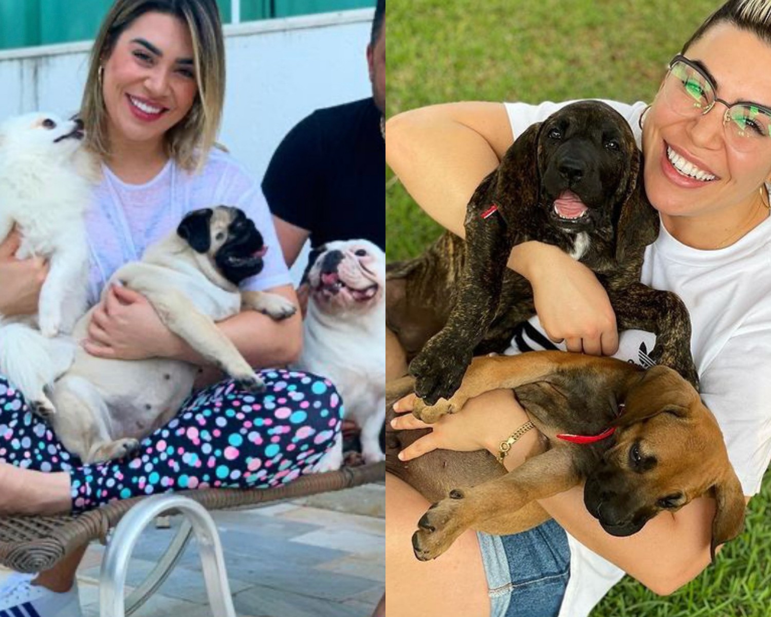 A cantora Naiara Azevedo, 32 anos, tem cinco cachorros. A primeira é a Marcelina (pug), cujo o nome foi dado em homenagem a personagem do filme 