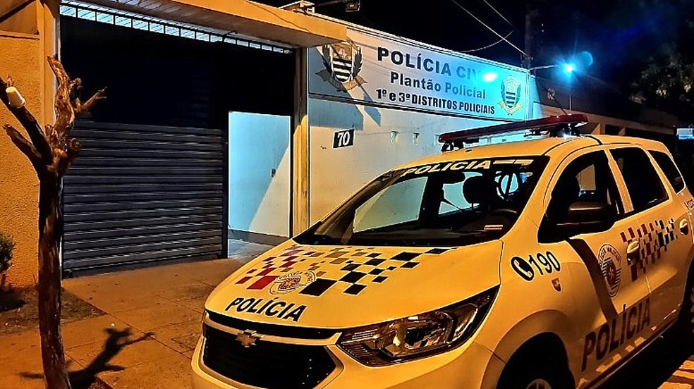 Caso foi registrado no Plantão Policial de Araraquara — Foto: A Cidade ON/Araraquara