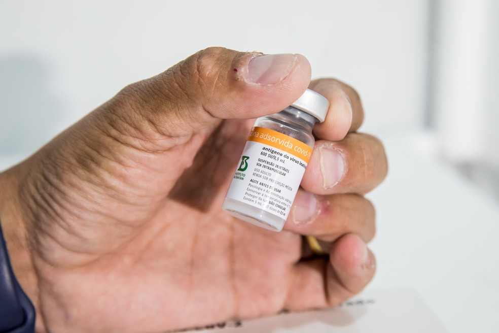 Doses da CoronaVAc devem ser usadas para imunizar crianças no Pará — Foto: Christiano Antonucci - Secom-MT