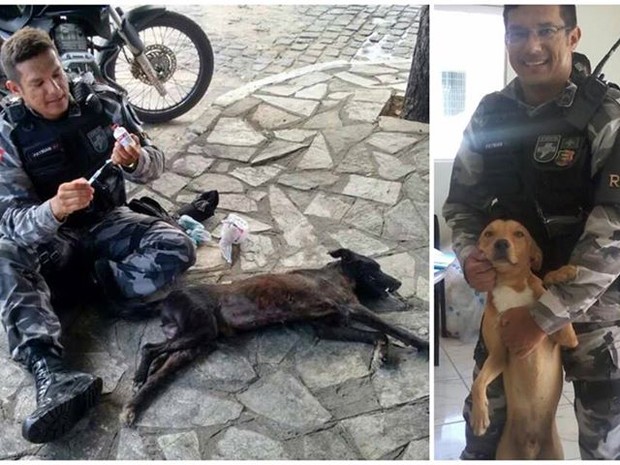 O sargento da Polícia Militar, Patria Junior, cuida de animais na cidade de Patos (Foto: Reprodução/Facebook)