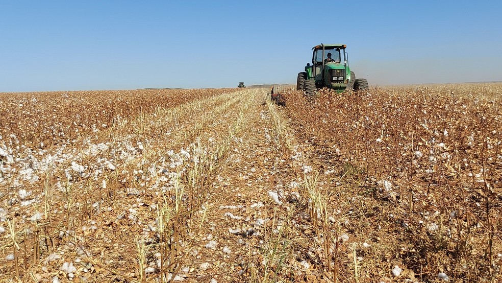 SELL AGRO busca melhores rendimentos e aproveitamento das aplicações agrícolas — Foto: Assessoria