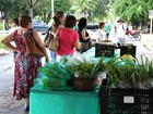Agricultores orgânicos vendem produtos em feira em Cuiabá (MT)