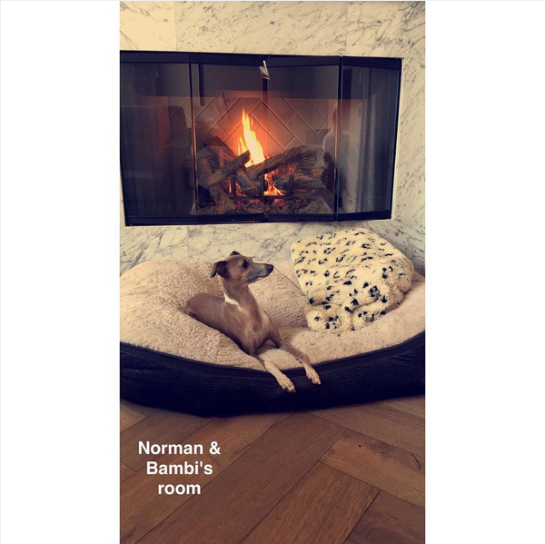 O quarto com lareira dos cães de Kylie Jenner (Foto: Snapchat)