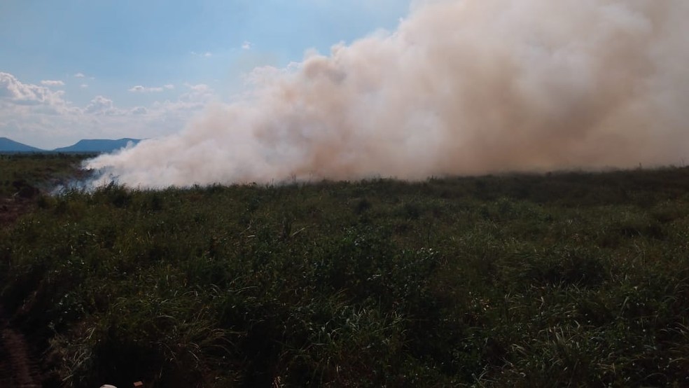 Foco de queimada no Pantanal sul-mato-grossense — Foto: IHP/Divulgação