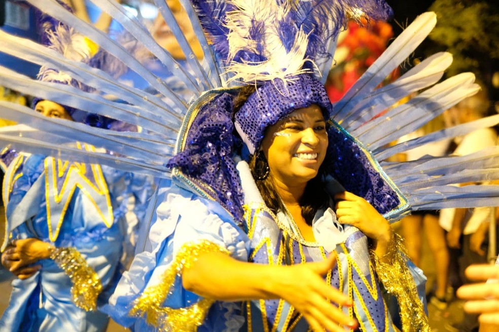 Imagem de arquivo de desfile de escola de samba em Ubá em 2019 — Foto: Prefeitura de Ubá/Divulgação
