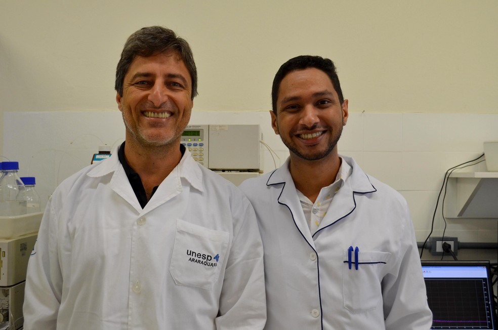 Pesquisadores da Unesp de Araraquara criam 1Âª molÃ©cula que elimina todas as etapas do vÃ­rus da hepatite C. â Foto: Geovana Alves/G1