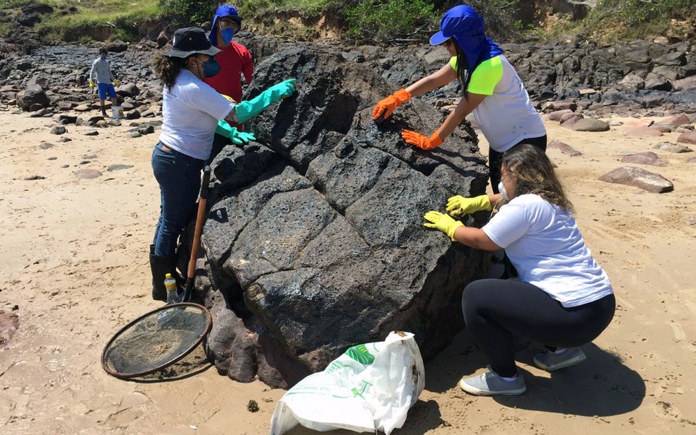 Voluntários para removem óleo de pedras na Praia de Itapuama, no Cabo de Santo Agostinho — Foto: Mônica Silveira/TV Globo
