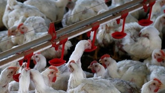 Foto: (Rodolfo Buhrer / Reuters) Foto: (Rodolfo Buhrer / Reuters)