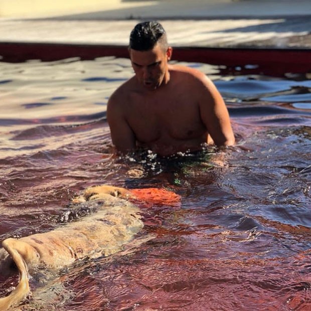 André Marques nada com pet em piscina de casa no Rio - Quem