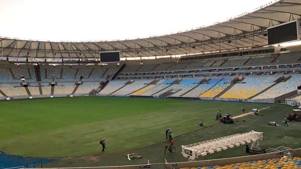 Parte do campo no lado do setor Norte já com a grama nova — Foto: Divulgação
