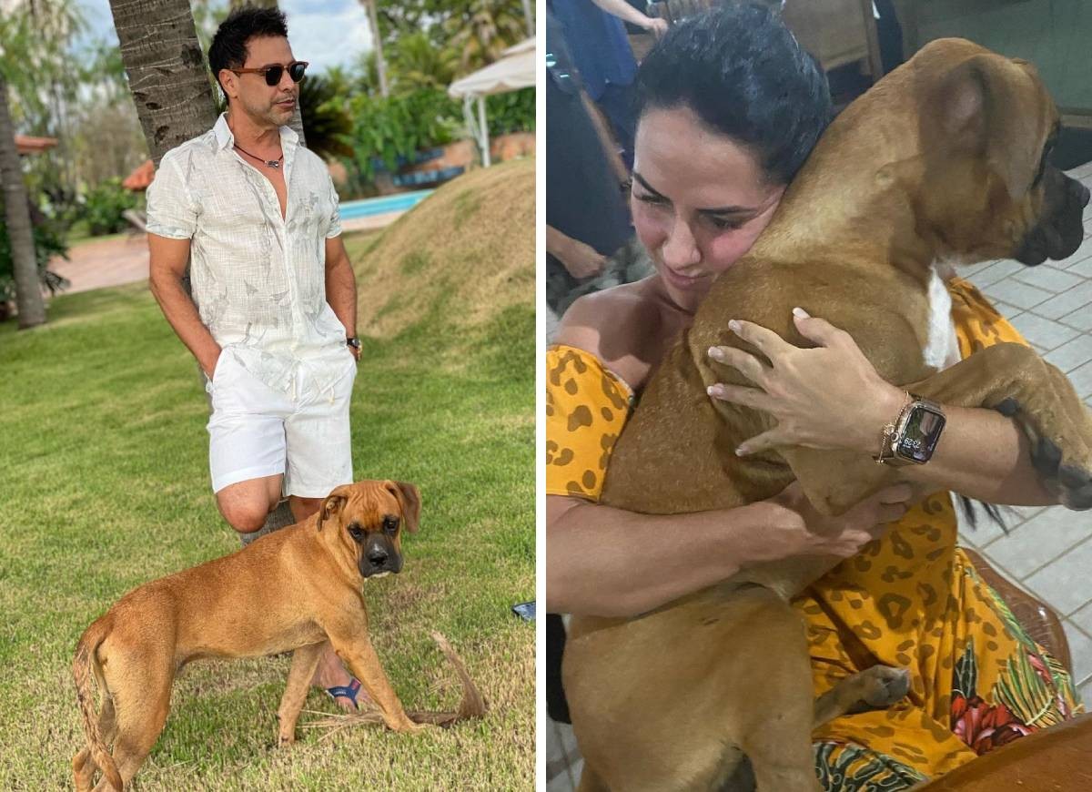 Zezé Di Camargo e Graciele Lacerda com o cachorro de estimação, Nescau (Foto: Reprodução/Instagram)