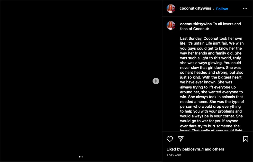 O post anunciando a morte da modelo e influencer Diana Deets  &mdash; Foto: Instagram