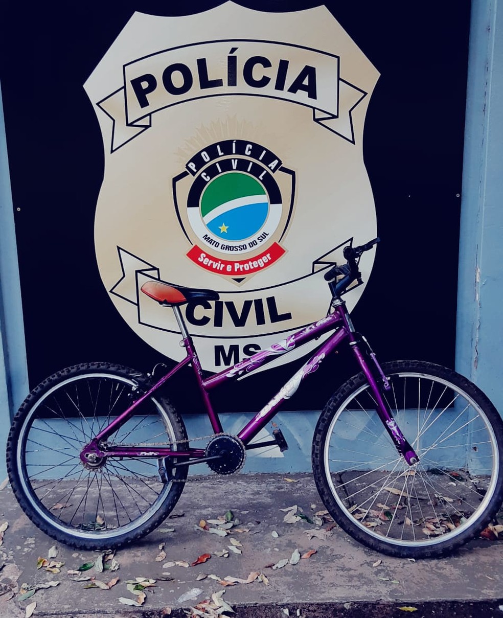 Bicicleta 'sonho' de criança foi recuperada — Foto: Polícia Civil/Divulgação