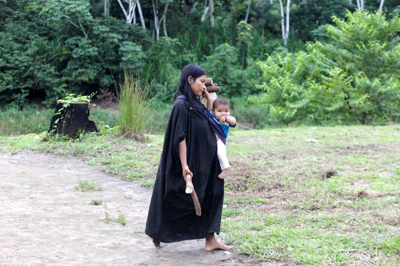 Uma indígena ashankinka carrega seu bebê na tipoia enquanto leva nas mãos livres mandioca para casa , na Aldeia Apiwtxa - Foto: Domingos Peixoto / Agência O Globo