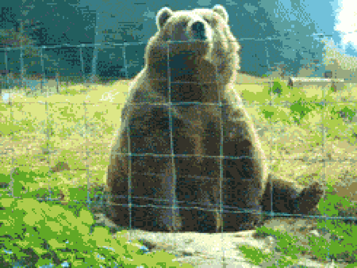 Imagem de urso é uma das mais usadas no Tinder (Foto: Reprodução/Giphy)