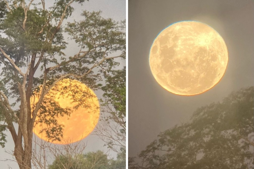 Helen Belmonte fez foto da lua cheia no horizonte em Itapagipe (MG) no sábado (16) — Foto: Helen Belmonte/Arquivo pessoal