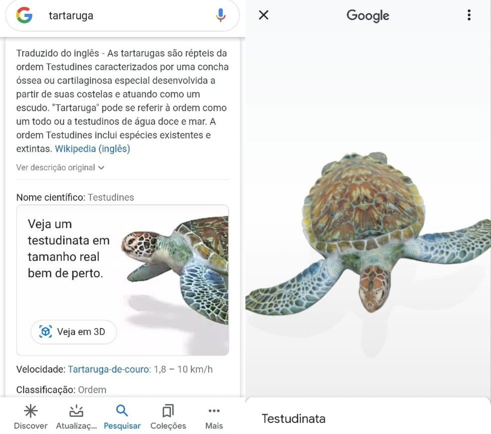 Realidade Aumentada do Google permite que usuários visualizem diversos modelos de animais em 3D — Foto: Reprodução/Claro Fabro