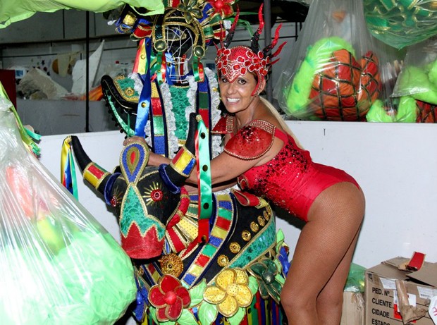 Rita cadillac carnaval brasileirinhas