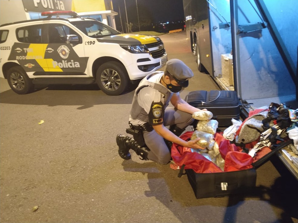 Droga foi localizada na bagagem da mulher de 35 anos — Foto: Polícia Rodoviária