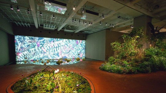Japan House inaugura exposição botânica que reforça a importância da natureza para nosso bem-estar 