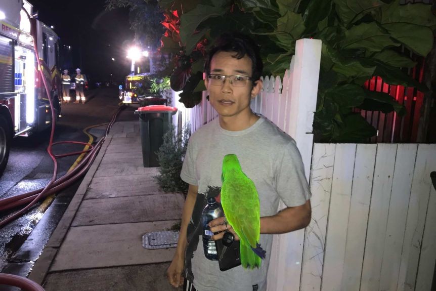 Anton Nguyen e seu papagaio (Foto: Reprodução)