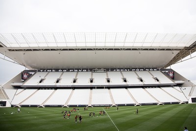 Gramado Arena Corinthians (Foto: Rodrigo Gazanel / Agência Estado)