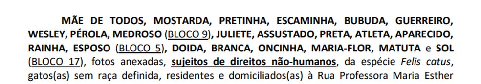 Nomes dos gatos autores da ação na Justiça — Foto: Reprodução/TV Cabo Branco