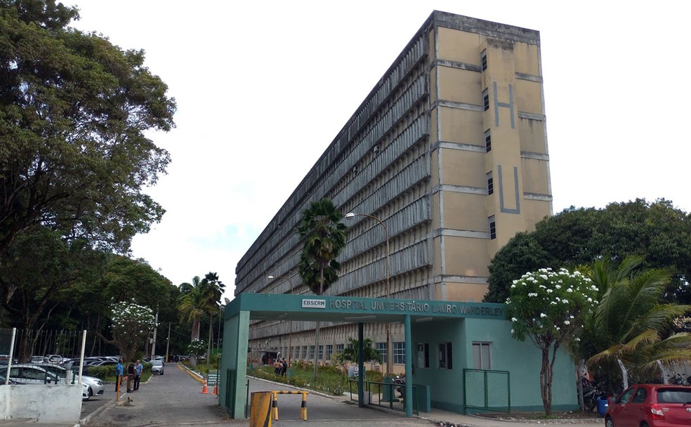 Mulher diagnosticada com raiva humana após sofrer mordida de raposa morre em João Pessoa