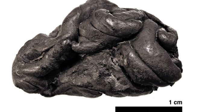 Pedaço de cola de bétula de 5.700 anos de Syltholm, sul da Dinamarca (Foto: Divulgação)