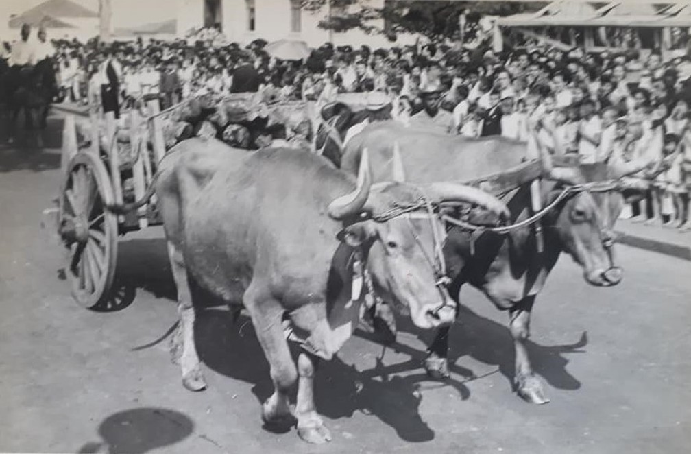 André Ruiz Del Rios participou do desfile em comemoração ao aniversário de Presidente Prudente em 1964 — Foto: Cláudio Rodrigues